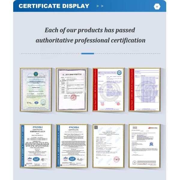 MN-EB001 CE&ISO Ten Function Electrical Patient Bed for ICU Room