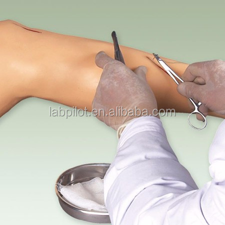Medical Surgery Training Model Vivid Leg Model for Surgical Instrument Demonstration