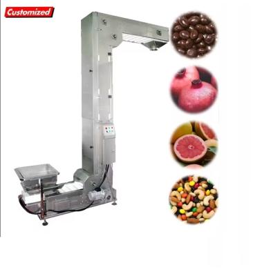 Transportador automático de frutas de palma de aço inoxidável personalizado para linha de embalagem