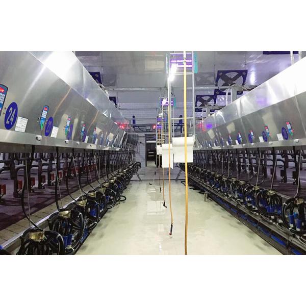 11kw Vacuum 3800L Parallel Parlor Milking Systems 128 Cows Per Hours