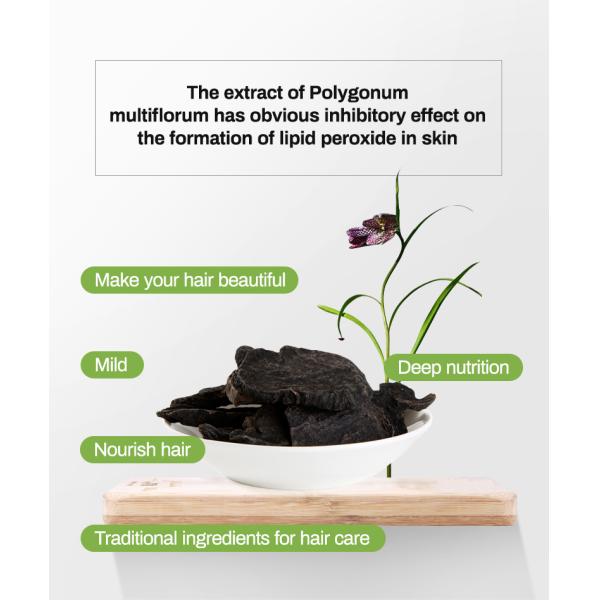 Private Label Deep Conditioning Hair Mask For  Color Treated Hair