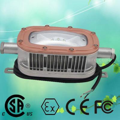 Branco frio do Cree luz à prova de explosões do diodo emissor de luz de 220 volts/luzes carbonosas de aço inoxidável