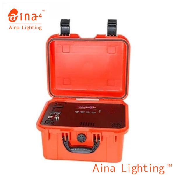 Pure Sine Wave Outdoor 1000w Emergency Portable Power Supply High Power For Home