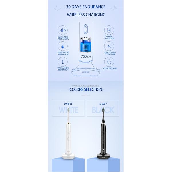 SN801 Segment Time Reminder Electric Sonic Toothbrush With Magnetic Suspension