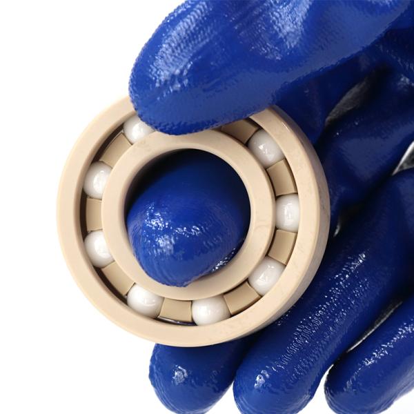 6205 Plastic Bearing PEEK Races Retaine with ZrO2 Balls Deep Groove Ball Bearings 25x52x15 mm