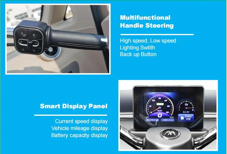 Raysince electrical mini car EEC certificated electric three-wheelers hot sales to Europe