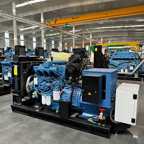 Remote Areas Diesel Engine Power Generator Portable Diesel Generator  Open Type Diesel Generator