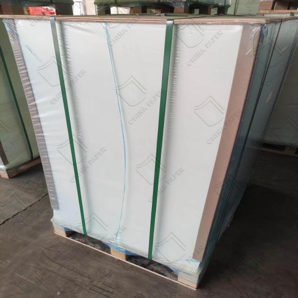Thin And Strong Folding Resistance Bible Paper 39g For Pharmaceutical Leaflets