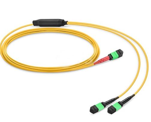 Conversion Harness OS2 MTP MPO Fiber Cable 24 Fibers Single Mode