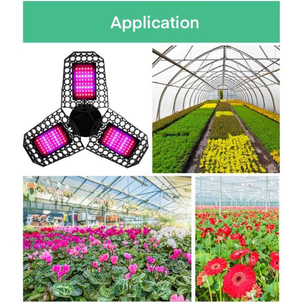 Складное СИД E27 E26 8000lm растет светлым для саженцев цветет Hydroponic