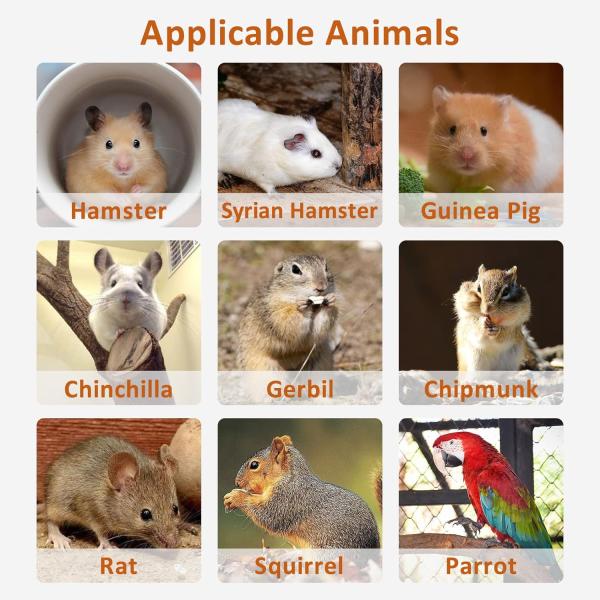 Hamster Standing Platform Exercise Toy Cage Accessories with Push-up Closure Type