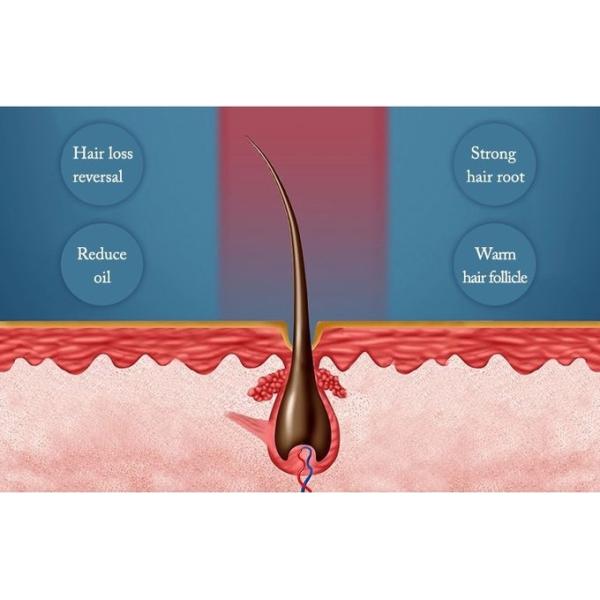 Therapy Massage Cap Diode Hair Growth Machine