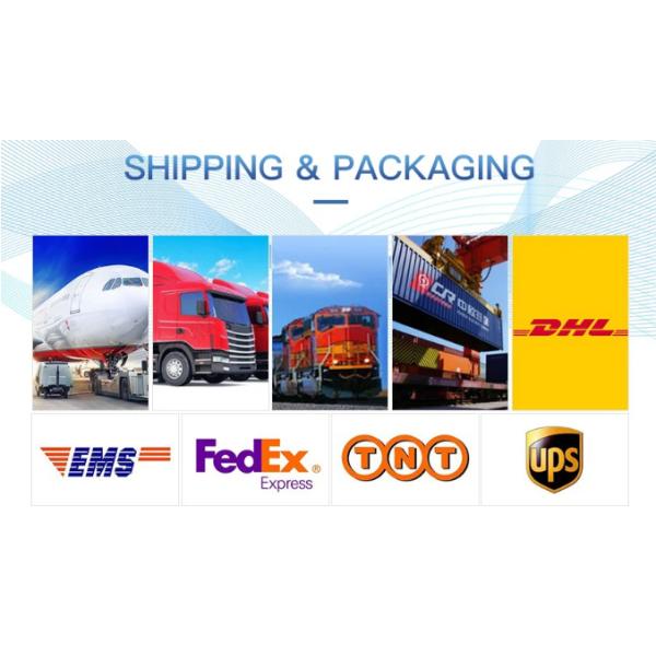 FK-280SA FK-280PK 24mm 12V Micro Brushed DC Motor For Auto Part