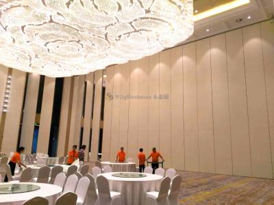 Adjustable Operable Wall Systems Multifunctional With Double Rubber Seals
