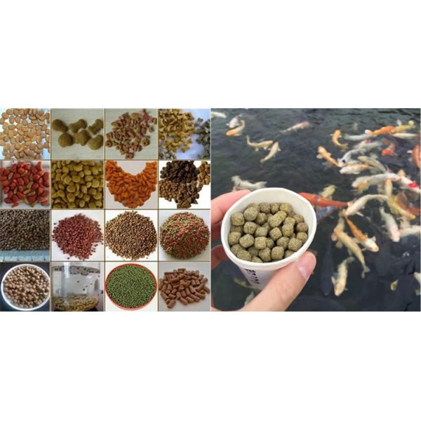 High Quality Dry Type Pet Dog Food Making Machine /Small Floating Fish Feed Extruder Machine