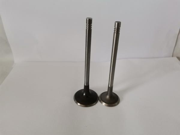 4221ECB Automotive Engine Exhaust Valves , AUDI / VW Engine Valve