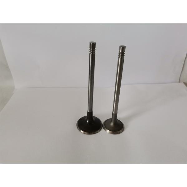 4408AX Diesel Engine Valve For AUDI / VW