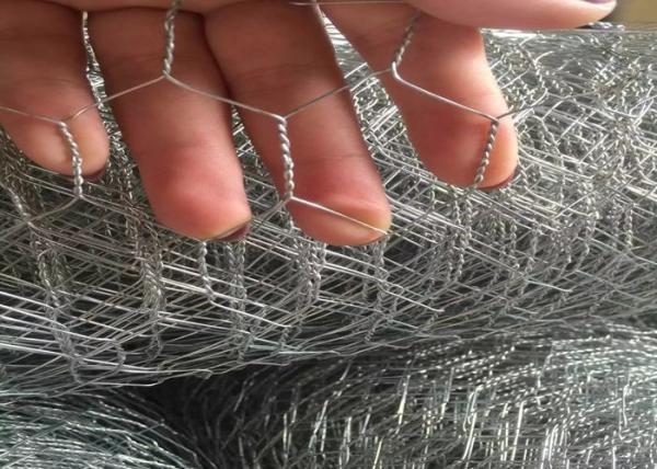 PVC Coated Or Galvanized Hexagonal Chicken Wire Mesh For Poultry