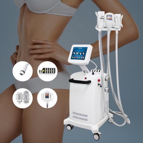 5 en el helada gordo de Cryolipolysis de la pérdida de 1 peso que adelgaza la máquina