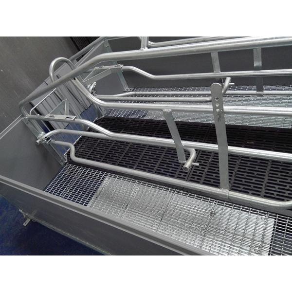 Steel Farrowing crate with galvanized steel materials customized size