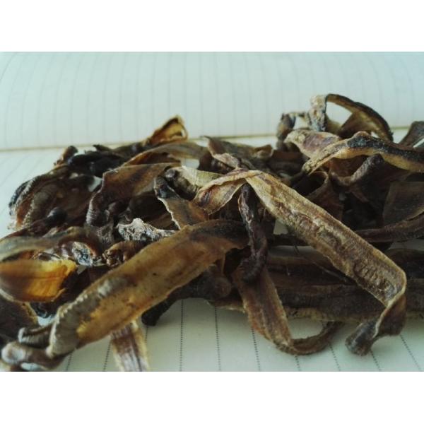 100% pure dried protein Earthworm Extract 20% Powder