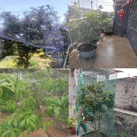 UV Resistant Anti Bird Net for Fruit Trees Vineyards Bird Proof Crop