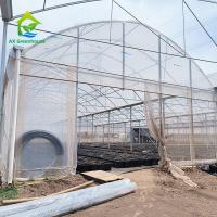 Estrutura de estrutura de estrutura de metal tropical multi-espansão Tomate Polytunnel Estufas para frutas e legumes