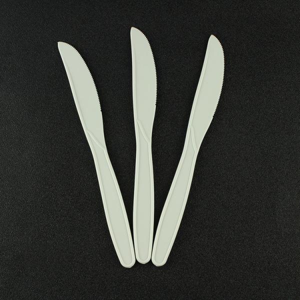 Disposable Spoon Fork Knife Set Biodegradable Option for Catering and Buffet Service