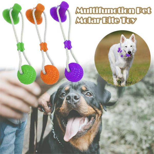 Жевание собаки ТПР жесткое забавляется собственная личность любимца играя резиновый шарик с чашкой всасывания