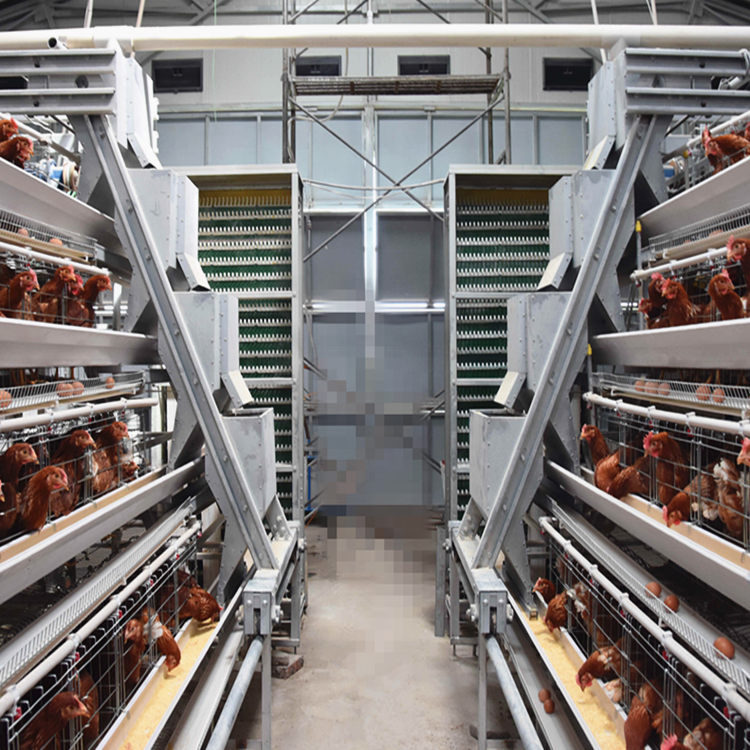 Full Automatic H-Type Layer Chicken Cage with Hot Dip Galvanized Drinkers and Feeders for Poultry Farm