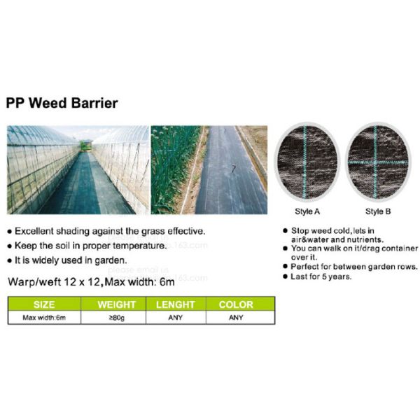Weed Control Mulch Film, Agriculture Vegetable Black PE Films, 5 Holes Greenhouse Perforated Film