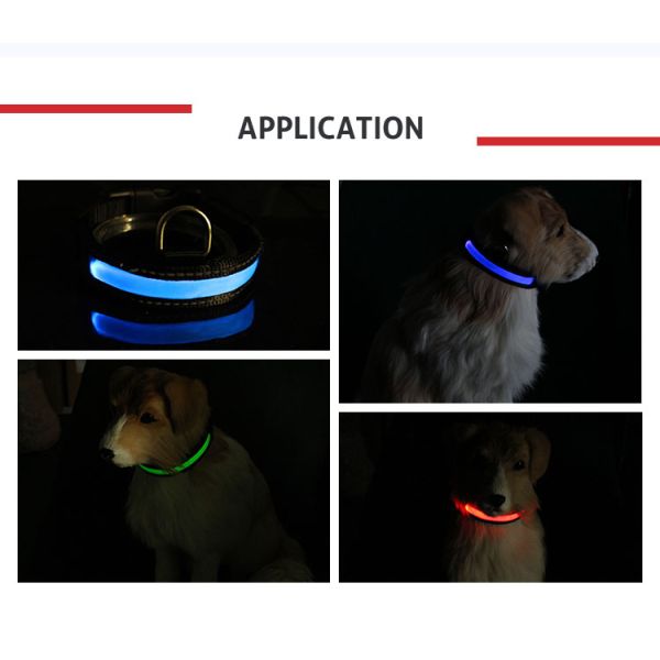 Wholesale waterproof usb rechargeable led dog collar