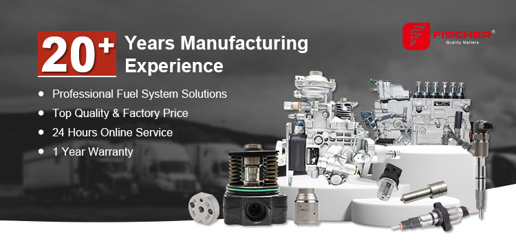 VE3 10F750R373 OEM Diesel Fuel Injection Pump for Kipor Genset