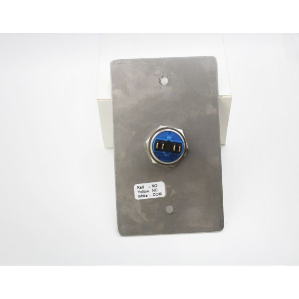 Push to Exit Button for Electric Lock with strong S / S Panel
