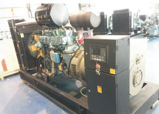 1500/1800rpm Biogas Generator Set 200kW  Water Cooling System Generator