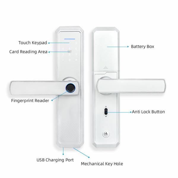 Mirror Panel Fingerprint Smart Door Locks 6V Passcode House Lock