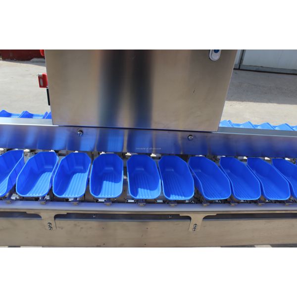 Streamline Your Oyster Fish Sorting Process with Multi-Tray Weight Sorting Machine