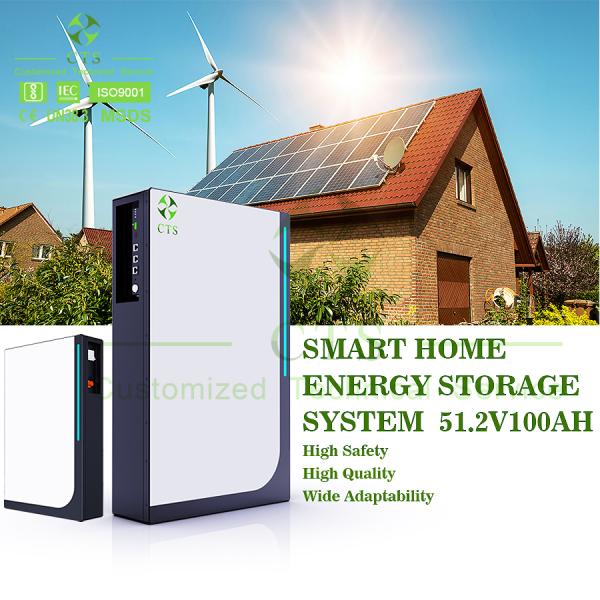 CTS  51.2V 100Ah 200Ah LiFePo4 Server Rack Battery OEM ODM Solar Energy Storage Power Wall for Home UPS System