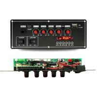 Fonction d'enregistreur de voix 2x20W 7.4V Microphone sans fil câblé Trolley haut-parleur Amplificateur de son Bt décodeur