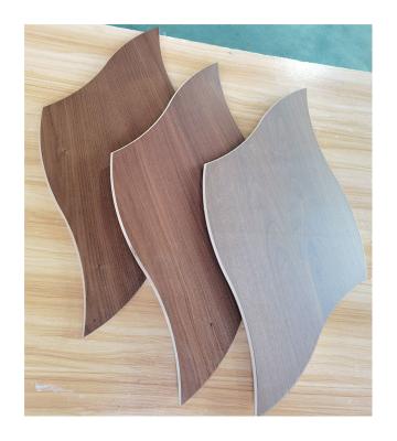 A noz dada forma projetou o revestimento do parquet; revestimento de nível elevado e especial