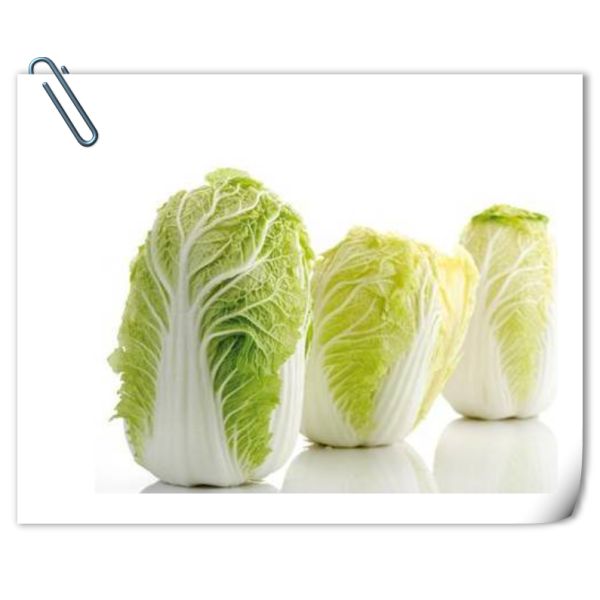 Líquido solúvel em água do ácido aminado de Oligopeptides do adubo orgânico para a plantação da couve