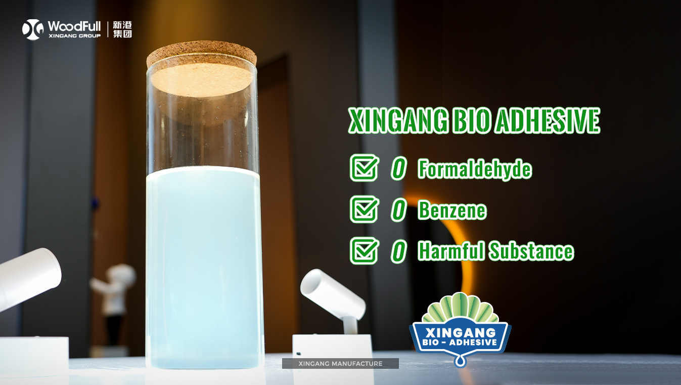 Shandong Xingang Group