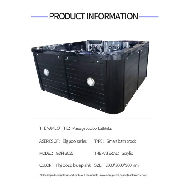 6 Persons Outdoor Hot Tub Swim Spa Massage With Dvd Player