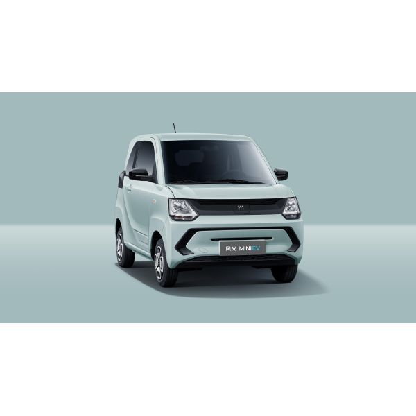 Dongfeng Fengguang MINI New Energy EV 180KM 220KM Vehicles Electric EV Car