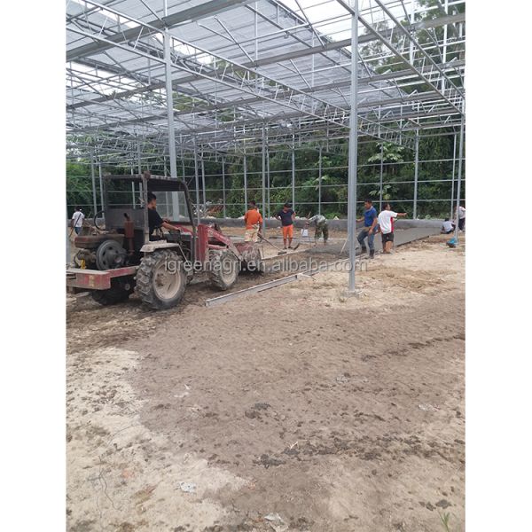 Smart Greenhouse with Customized Length and Hot Dipped Galvanized Steel Frame Featuring Roof and Side Vents