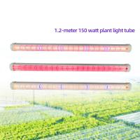 IP65 deux voies sous le canopé lumières de croissance pour les plantes de tomates 150 Watt