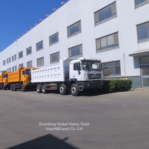 Shacman F3000 X3000 FAW Benz Fabrica camión de descarga camiones de transporte de carga