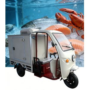1000W Motor Electric Cargo Tricycle with 60V/58AH Battery and Polyurethane Insulation for Refrigerated Transport