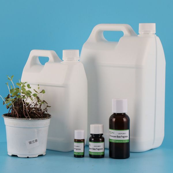 High Purity Spearmint Toothpaste And Mouthwash Perfume Essential Fragrance Oil