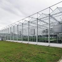 O vidro de placa de Duble da estufa do Multi-período galvanizou o vertical holandês da estufa do vidro da estrutura da estufa